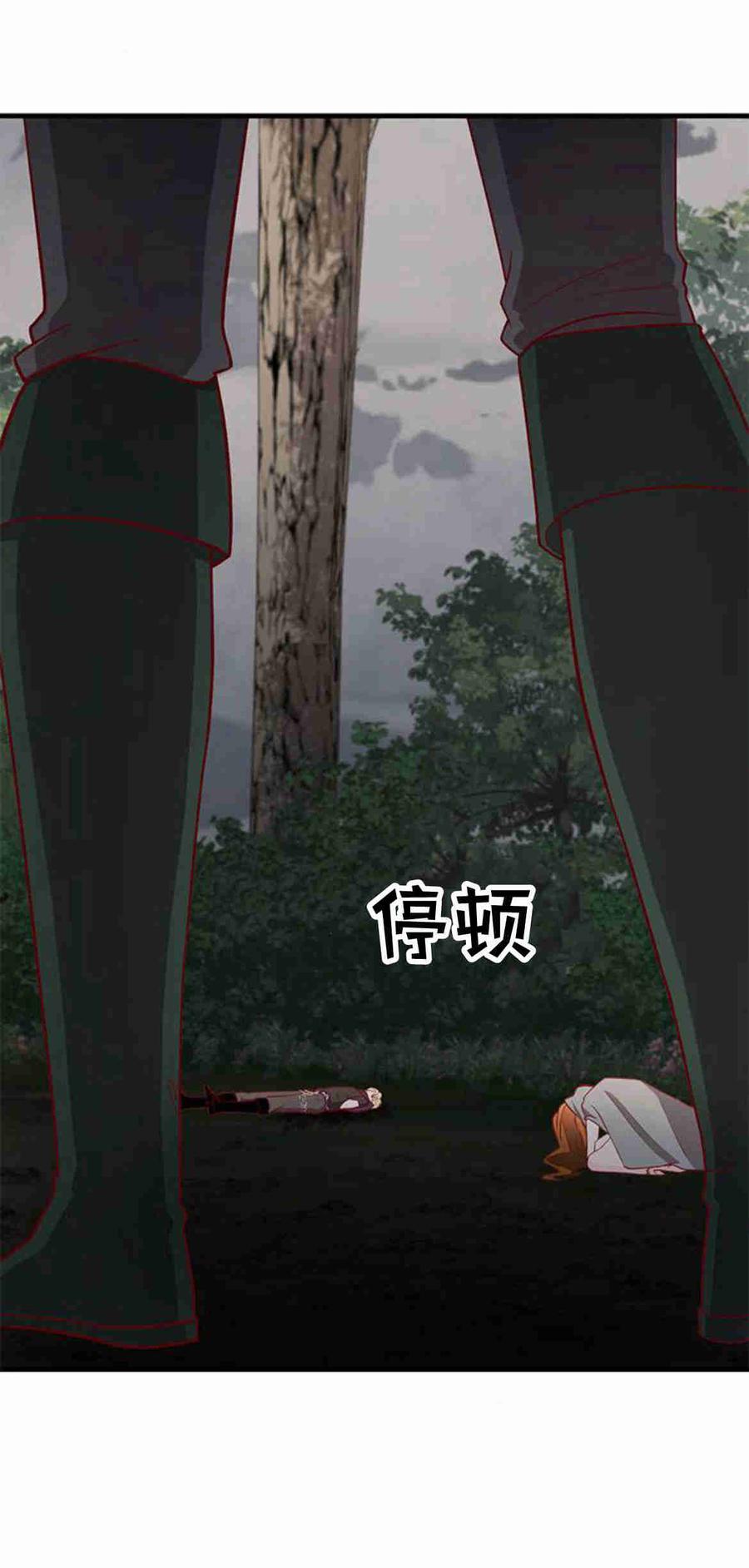 伯爵小姐的双重生活 第35话 第24页