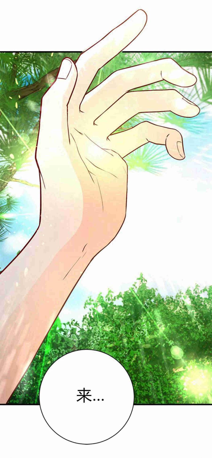 伯爵小姐的双重生活 第35话 第68页