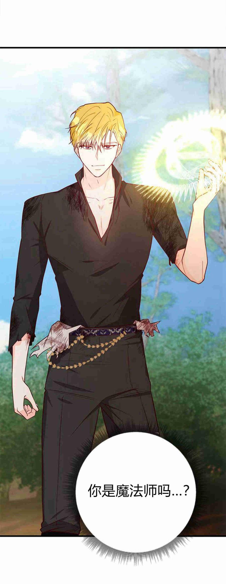 伯爵小姐的双重生活 第35话 第84页
