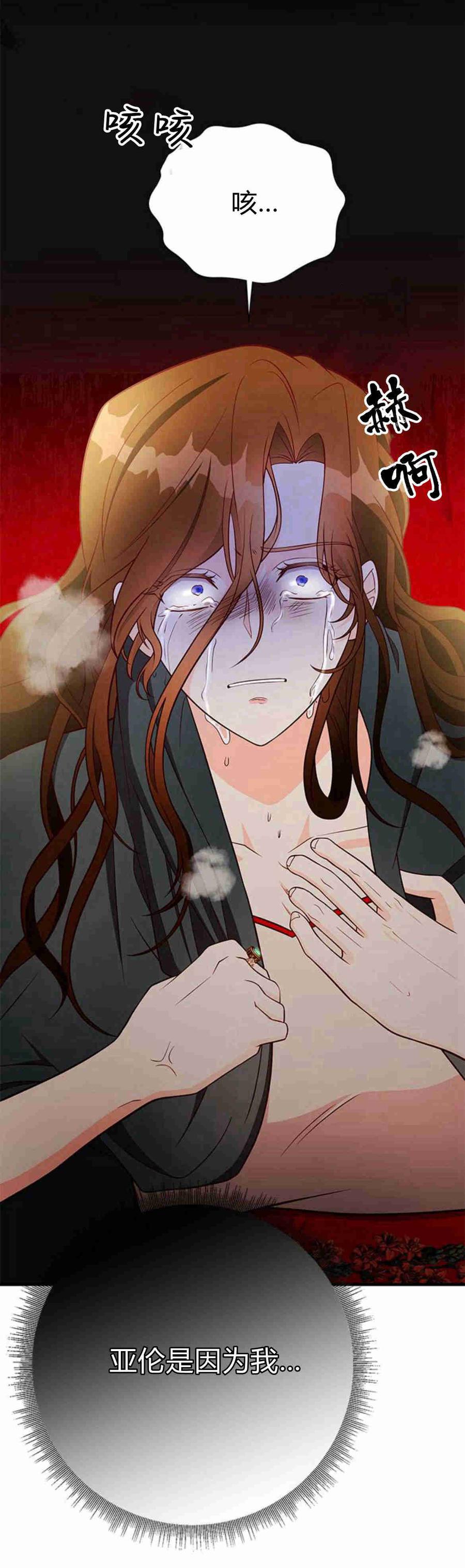 伯爵小姐的双重生活 第35话 第17页