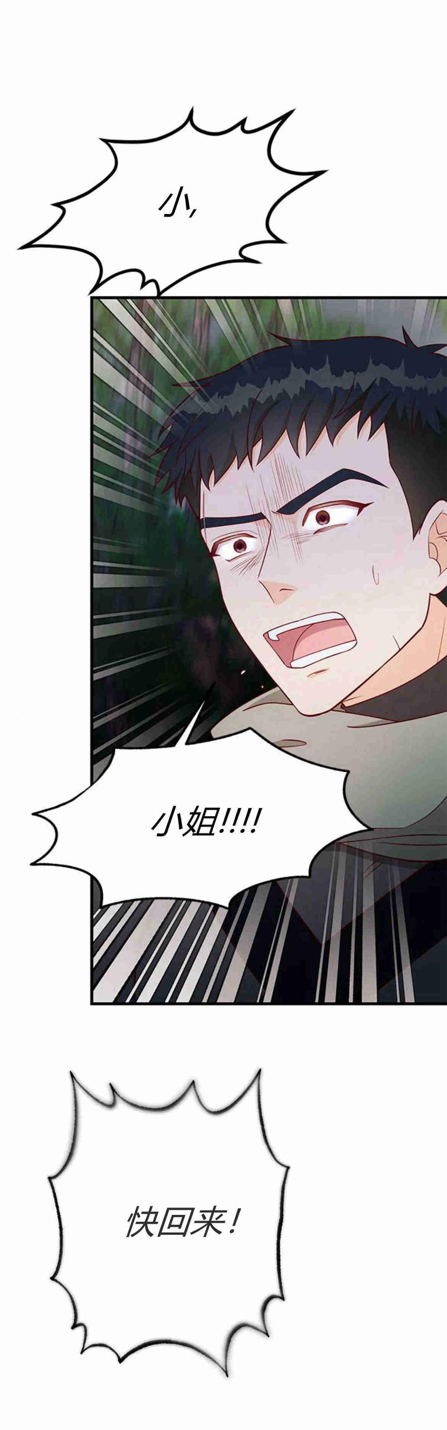 伯爵小姐的双重生活 第35话 第48页