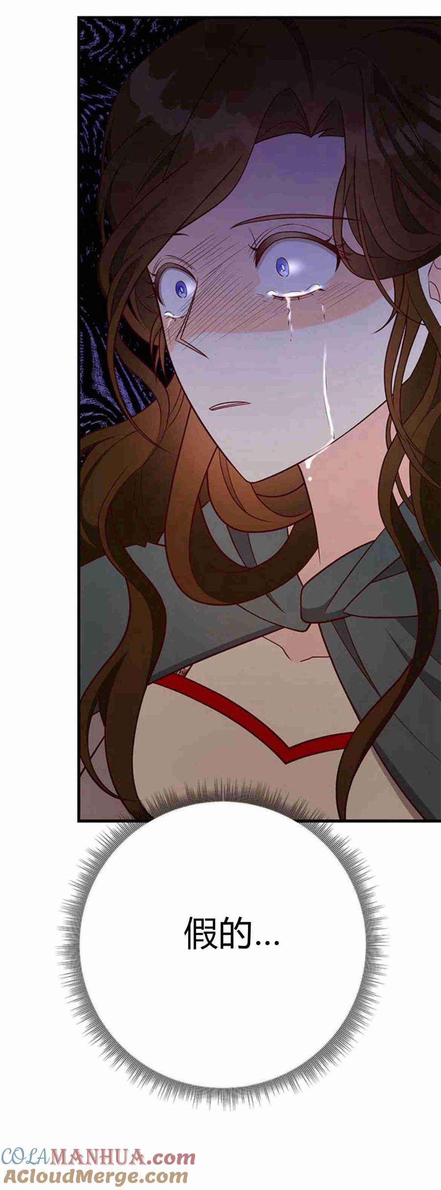 伯爵小姐的双重生活 第35话 第13页