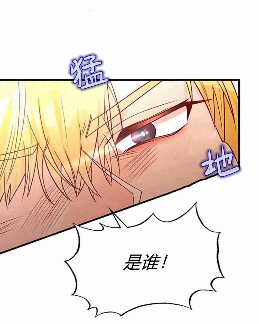 伯爵小姐的双重生活 第36话 第15页