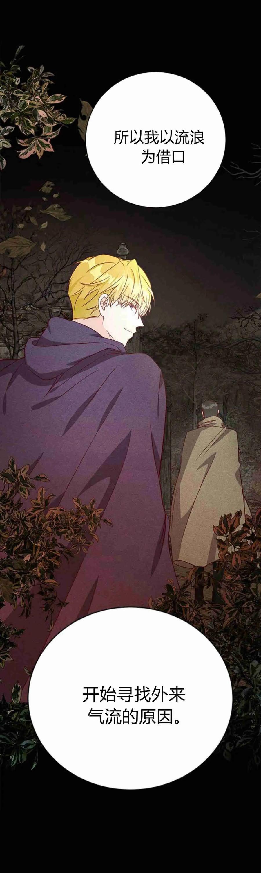 伯爵小姐的双重生活 第36话 第74页