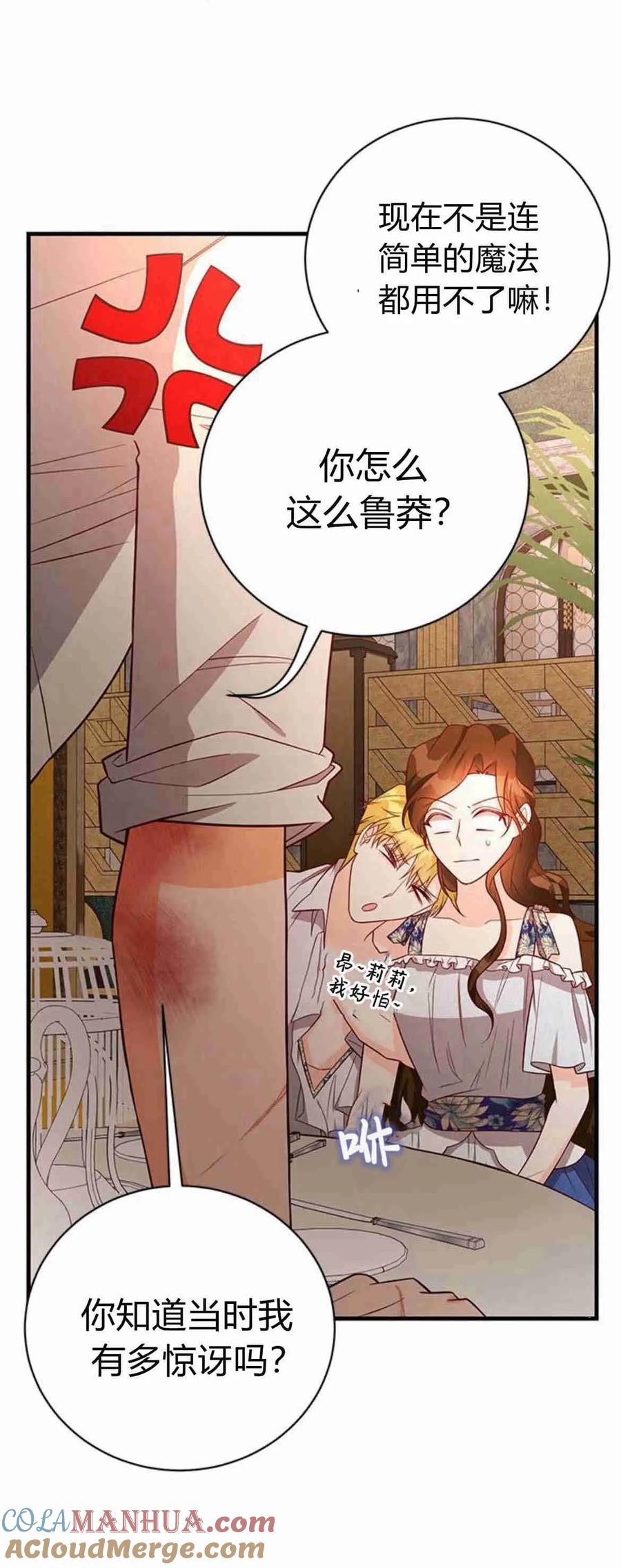 伯爵小姐的双重生活 第36话 第43页