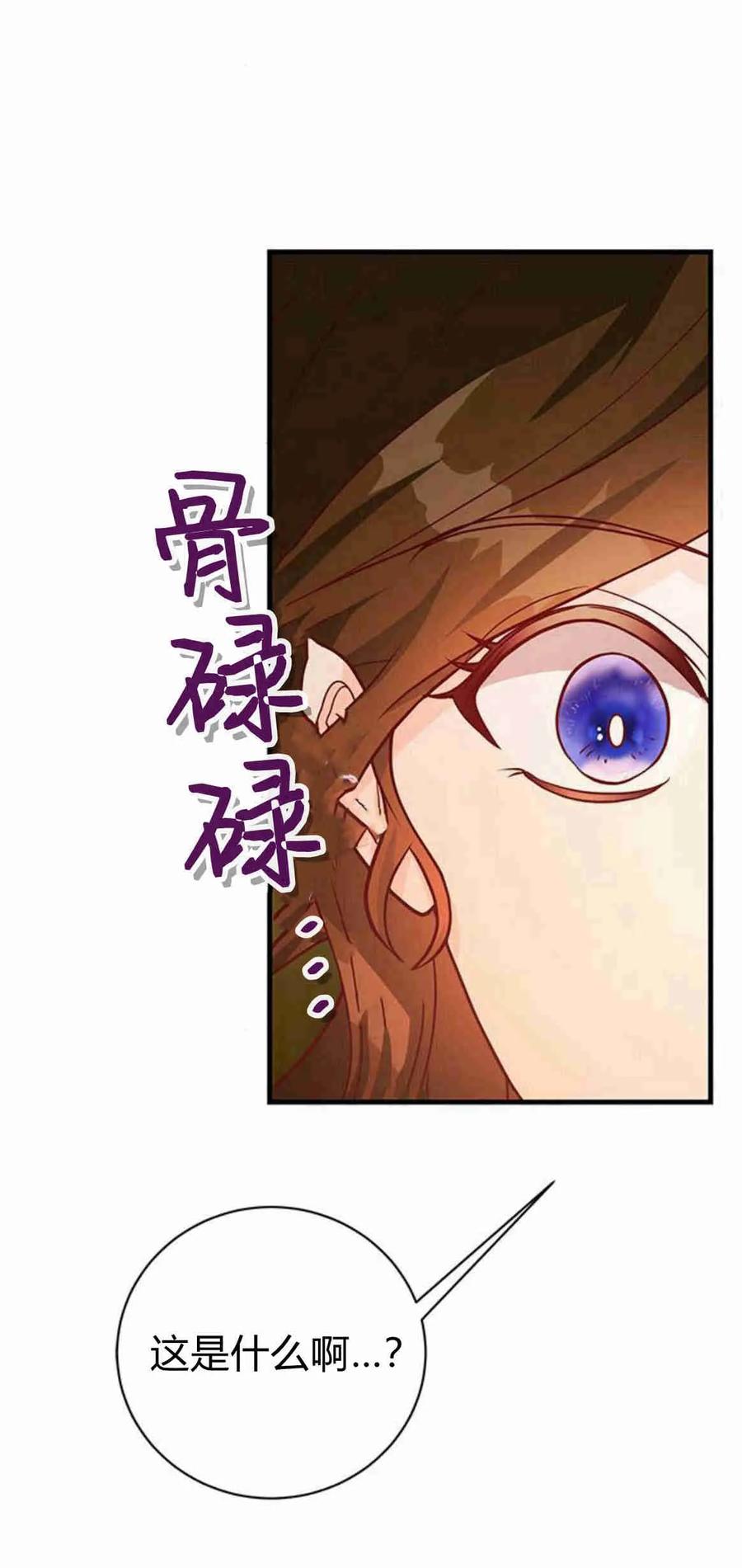 伯爵小姐的双重生活 第36话 第56页