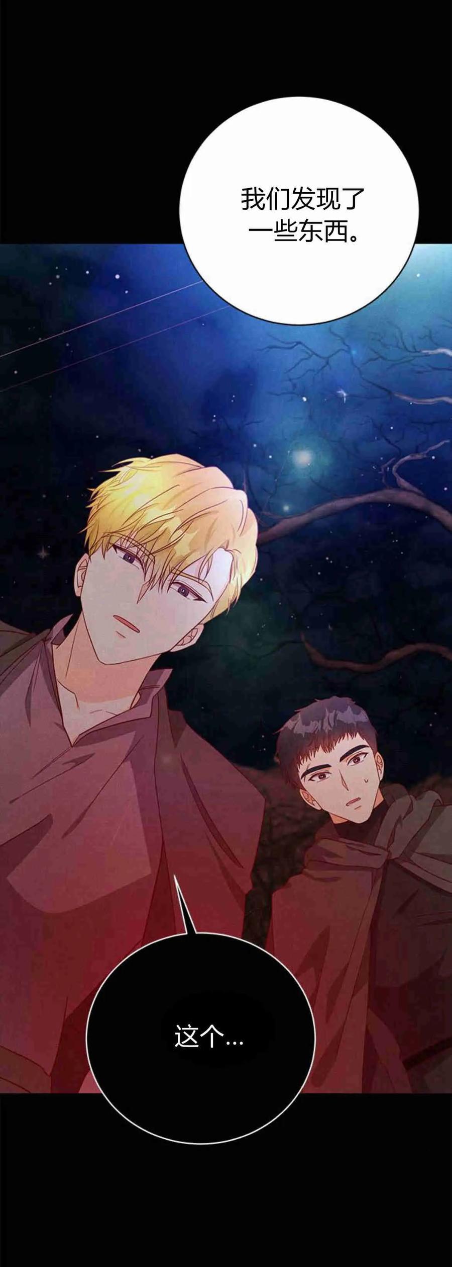 伯爵小姐的双重生活 第36话 第77页