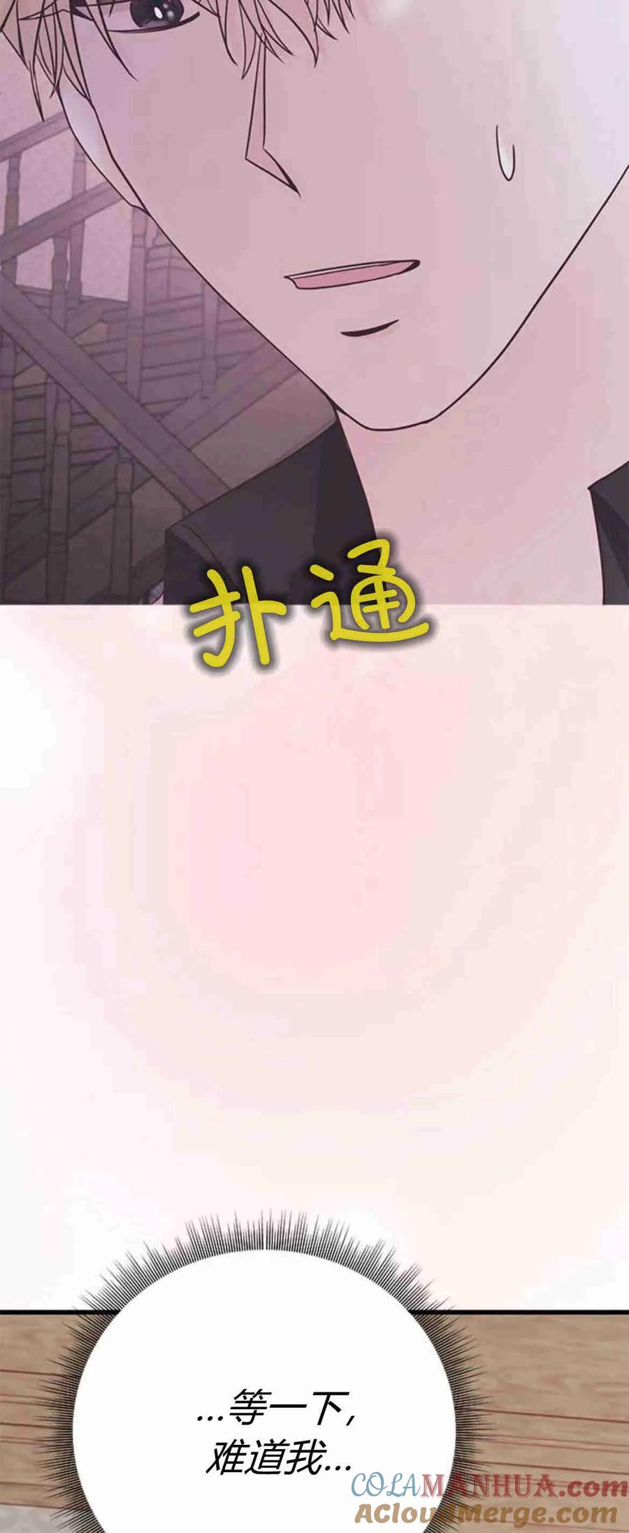 伯爵小姐的双重生活 第38话 第40页
