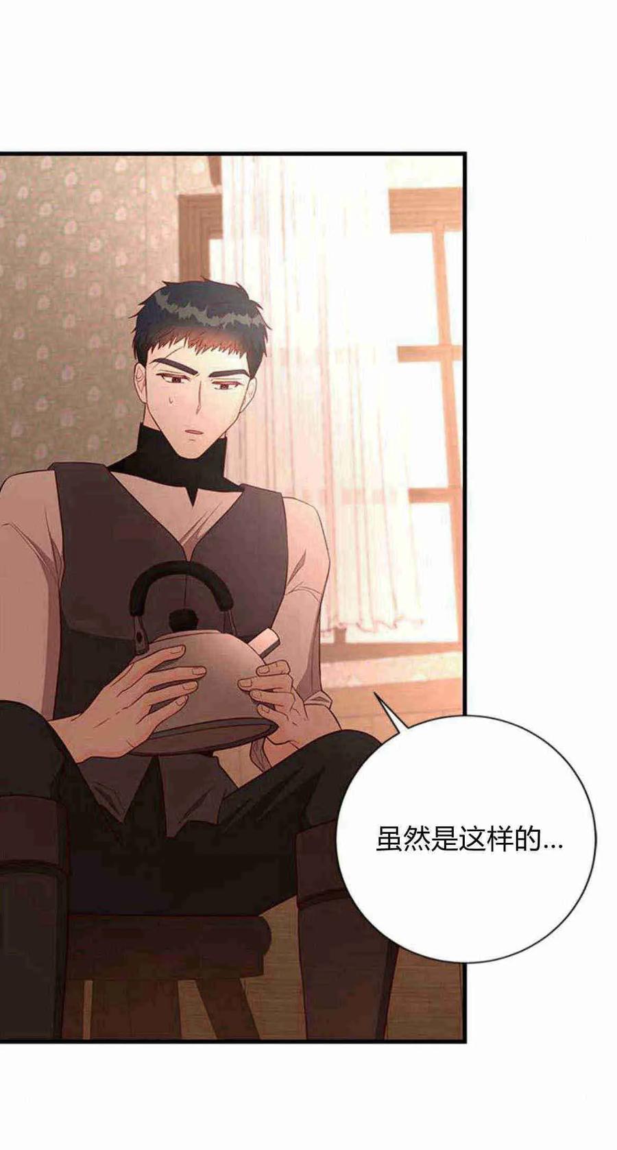 伯爵小姐的双重生活 第39话 第34页