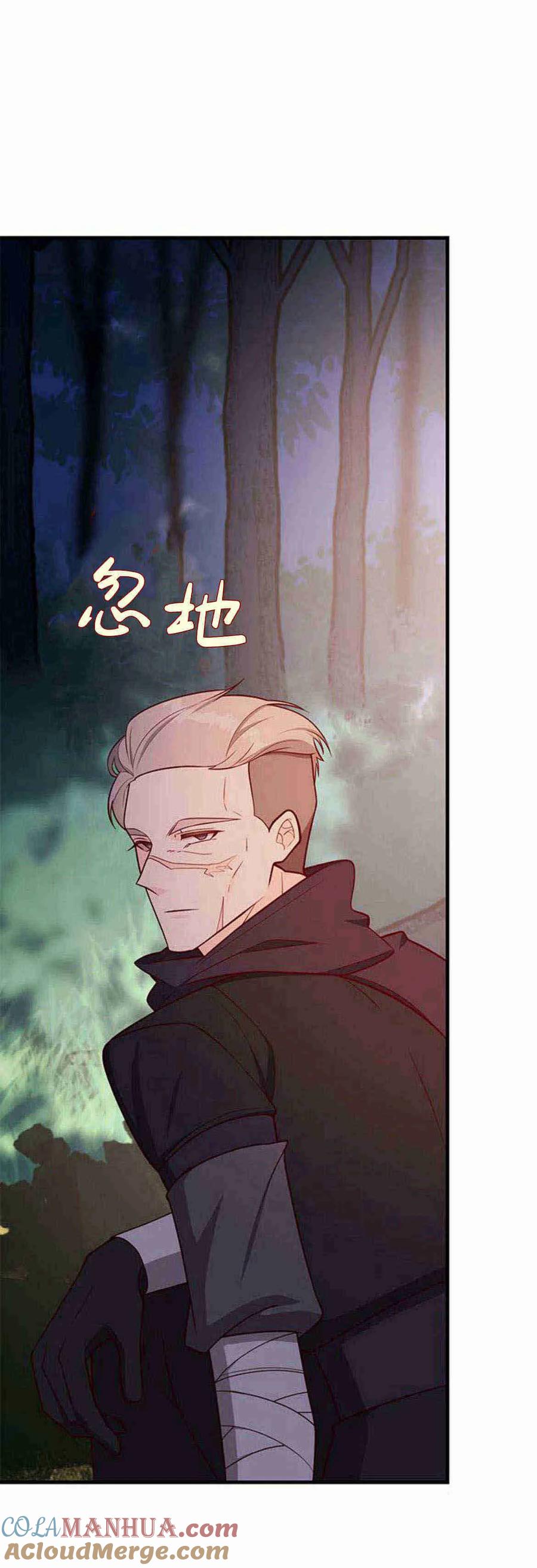 伯爵小姐的双重生活 第39话 第13页