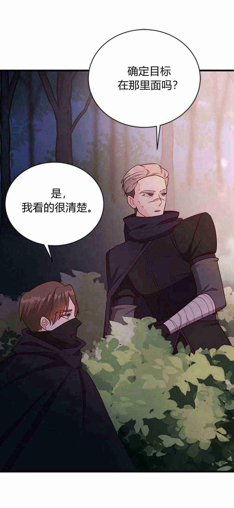 伯爵小姐的双重生活 第39话 第14页