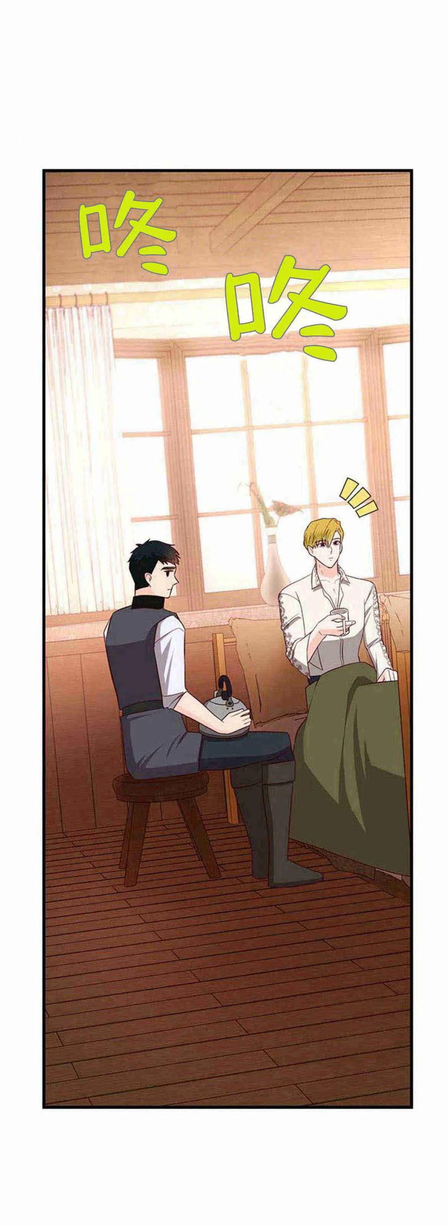 伯爵小姐的双重生活 第39话 第36页