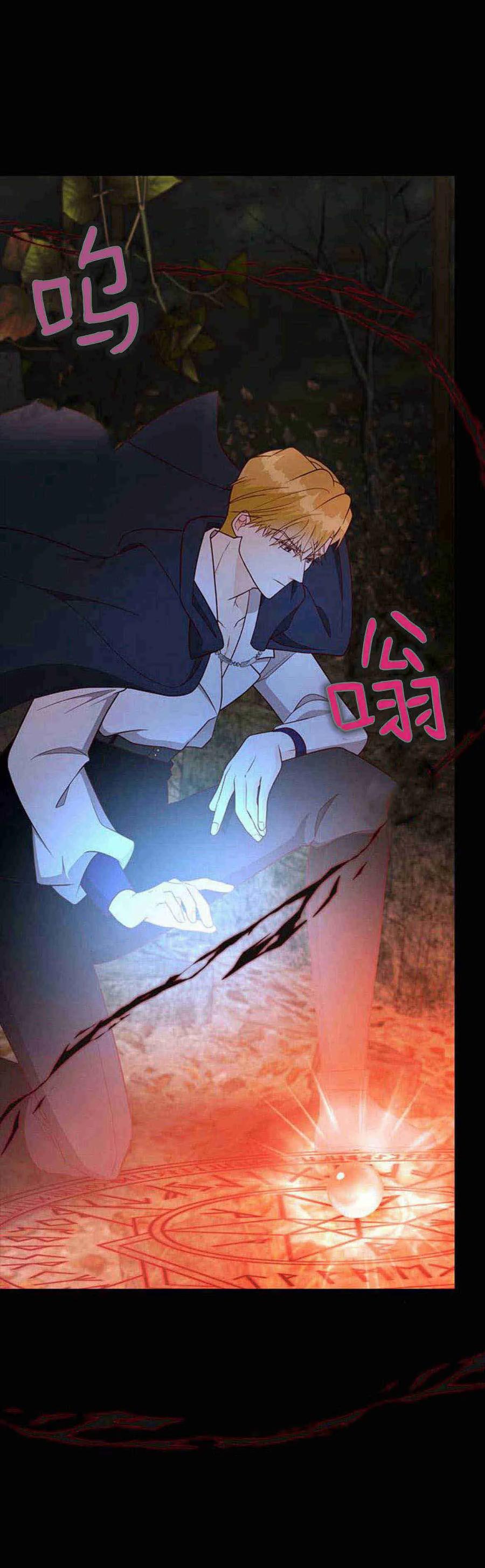 伯爵小姐的双重生活 第39话 第24页