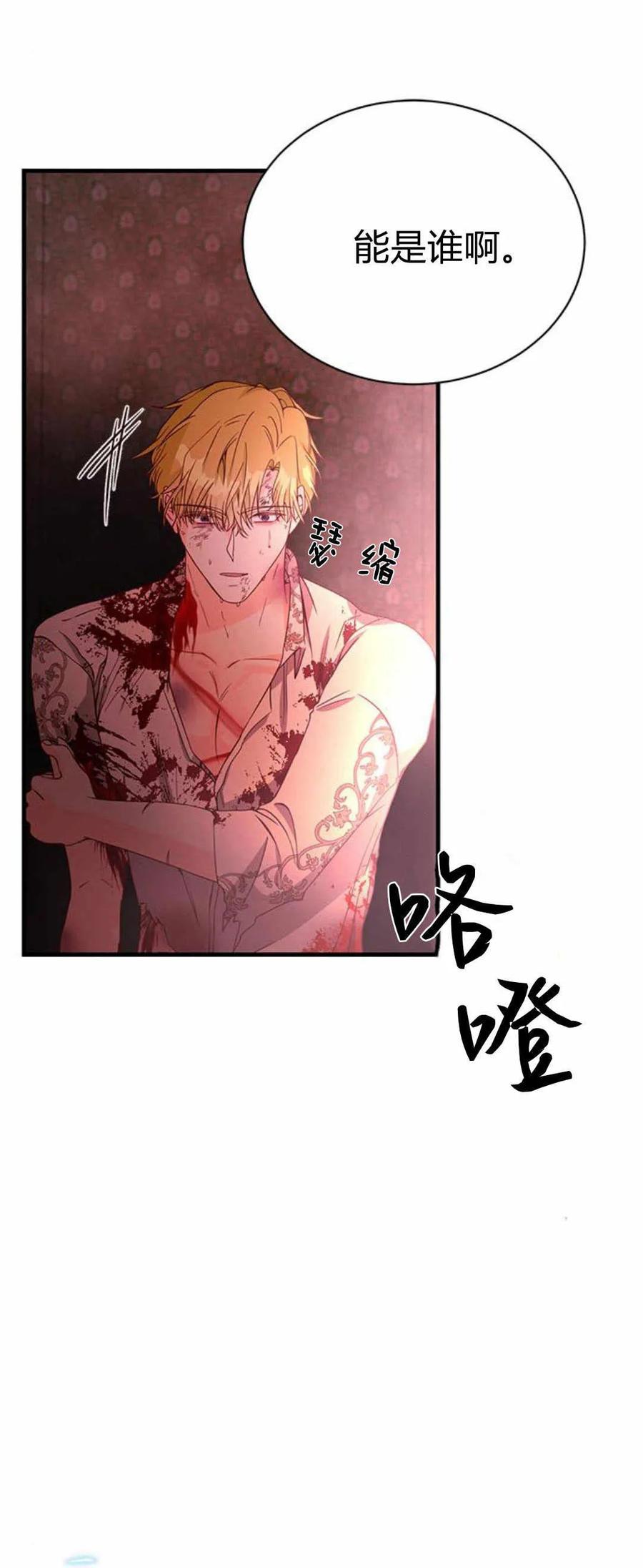 伯爵小姐的双重生活 第40话 第15页