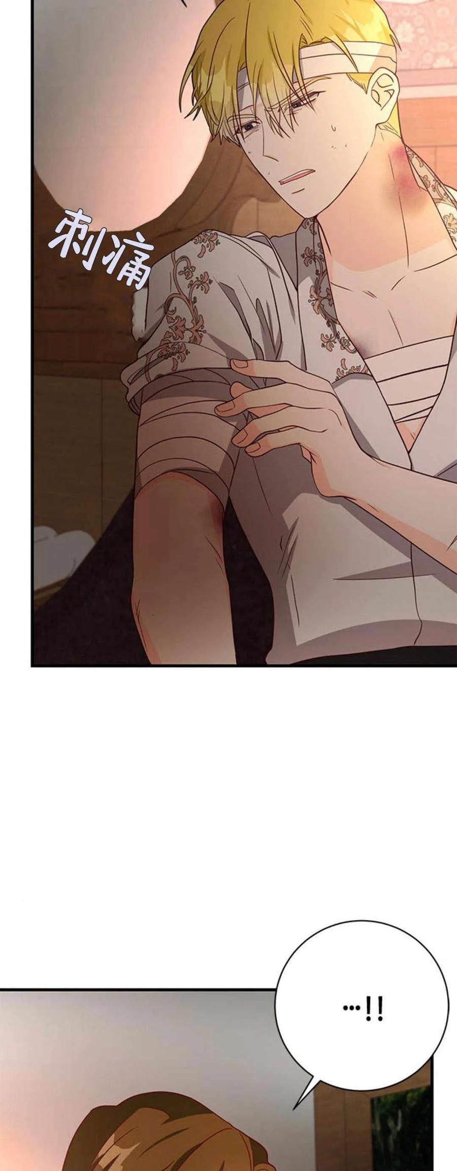 伯爵小姐的双重生活 第40话 第66页