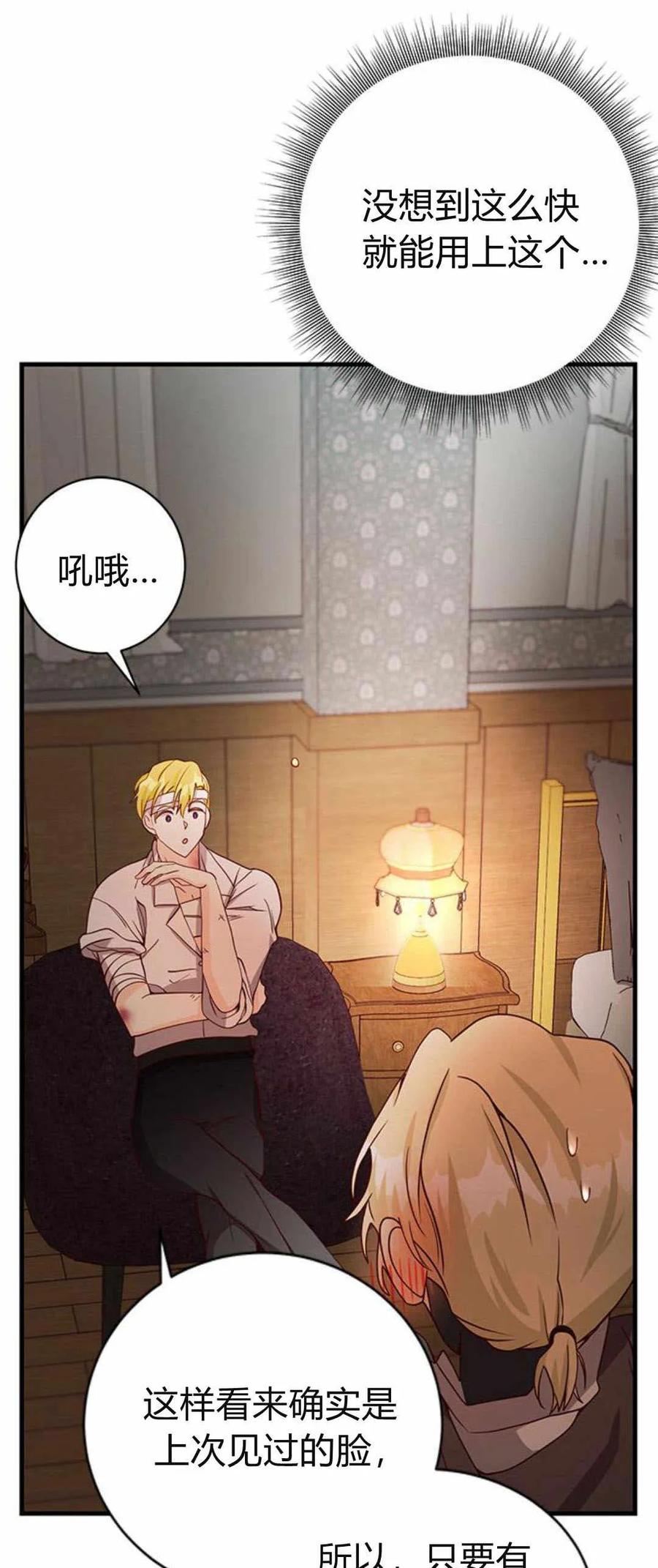 伯爵小姐的双重生活 第40话 第41页
