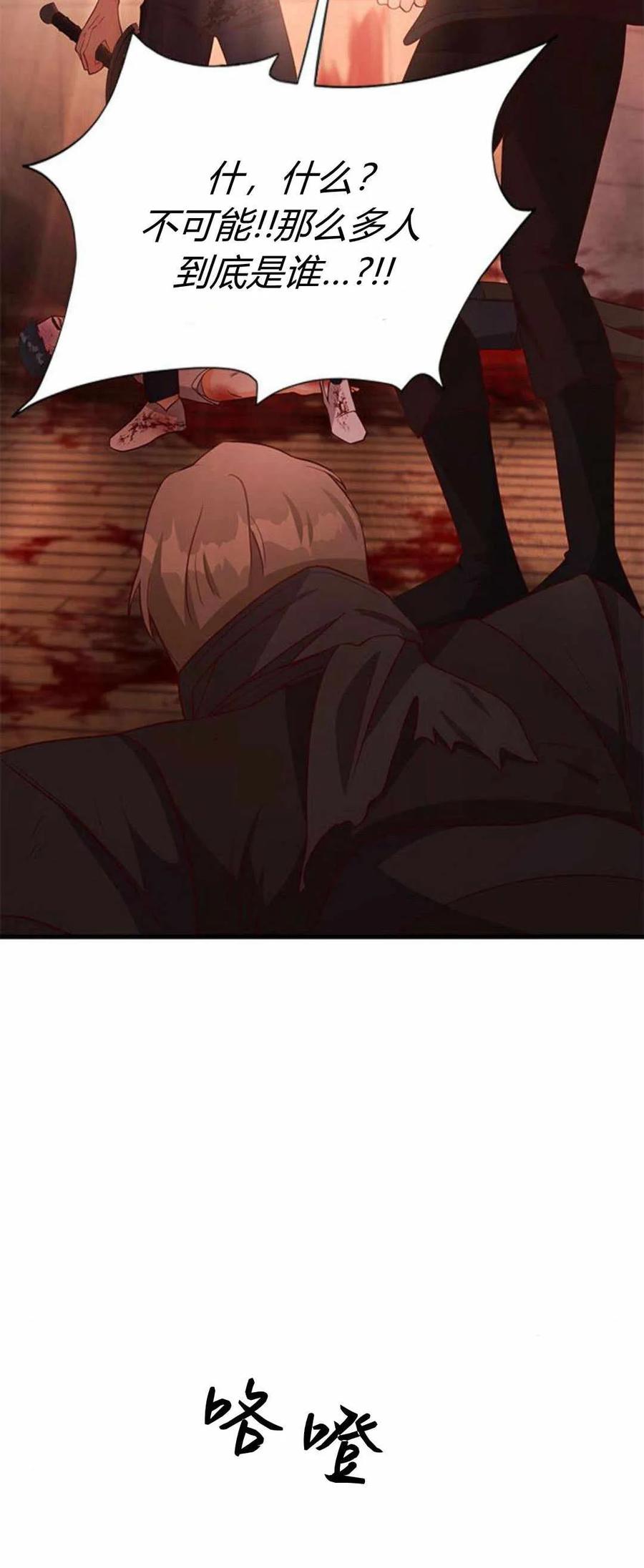 伯爵小姐的双重生活 第40话 第14页