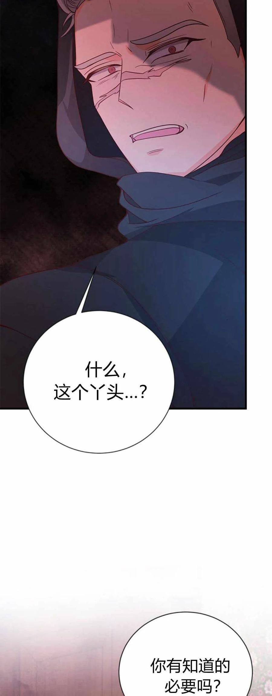 伯爵小姐的双重生活 第40话 第20页