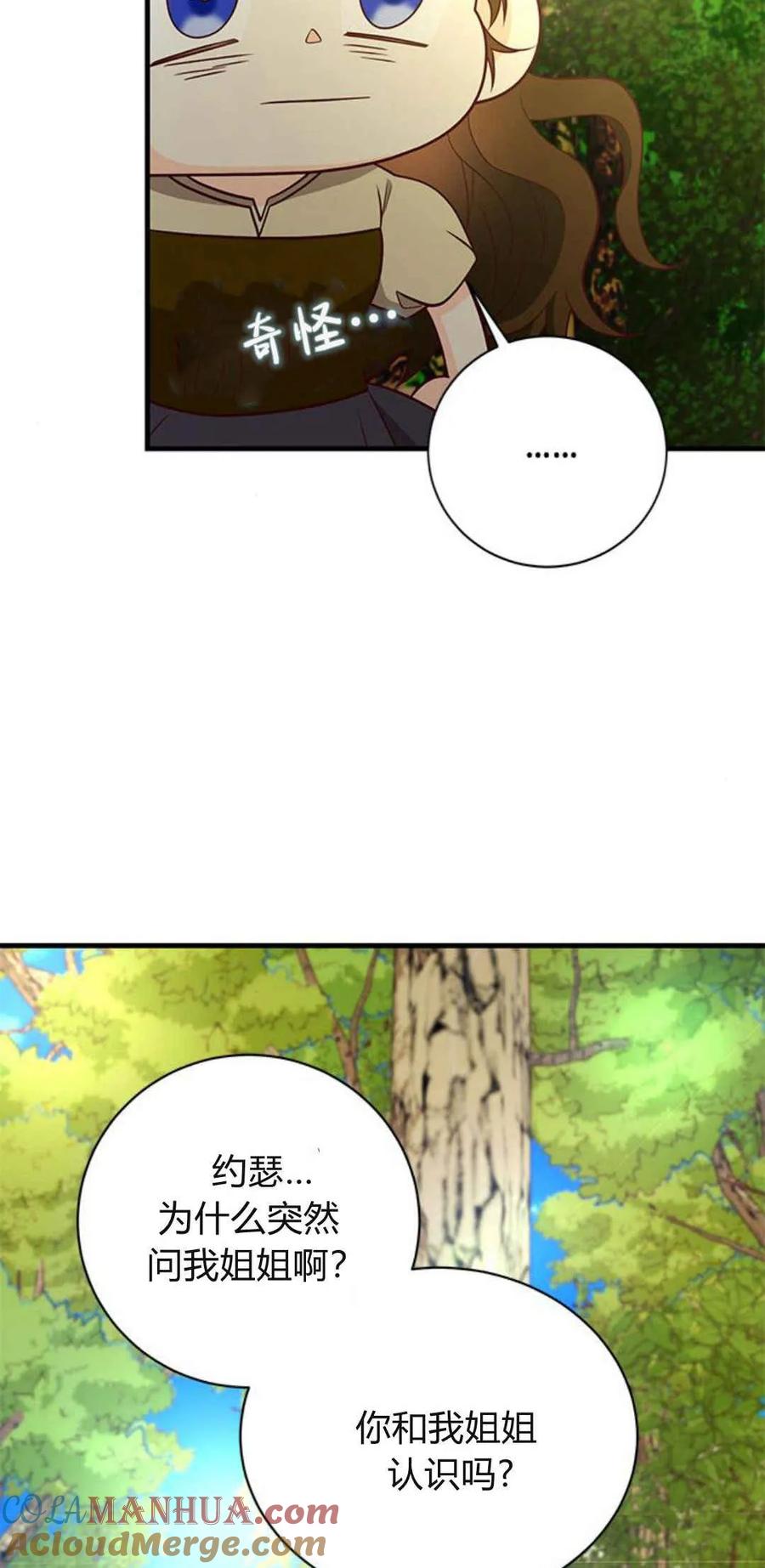 伯爵小姐的双重生活 第41话 第19页