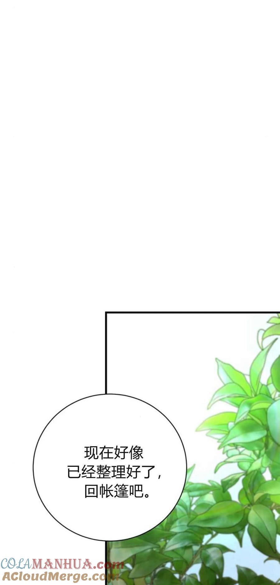 伯爵小姐的双重生活 第41话 第31页