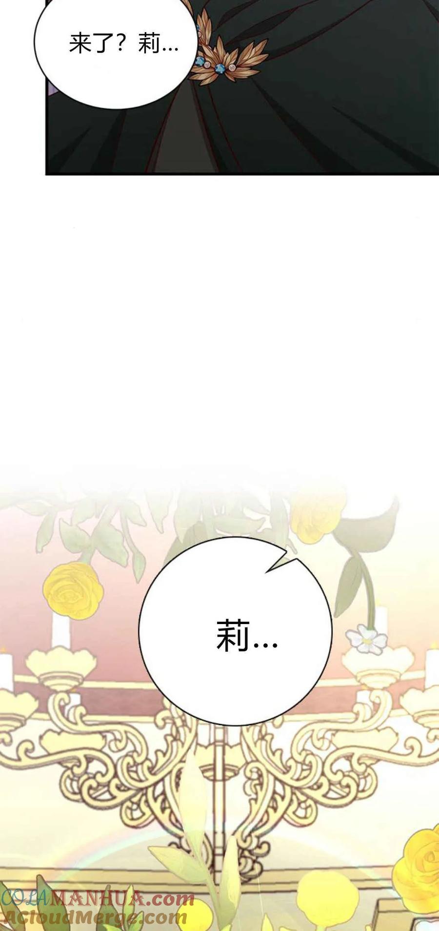 伯爵小姐的双重生活 第41话 第67页