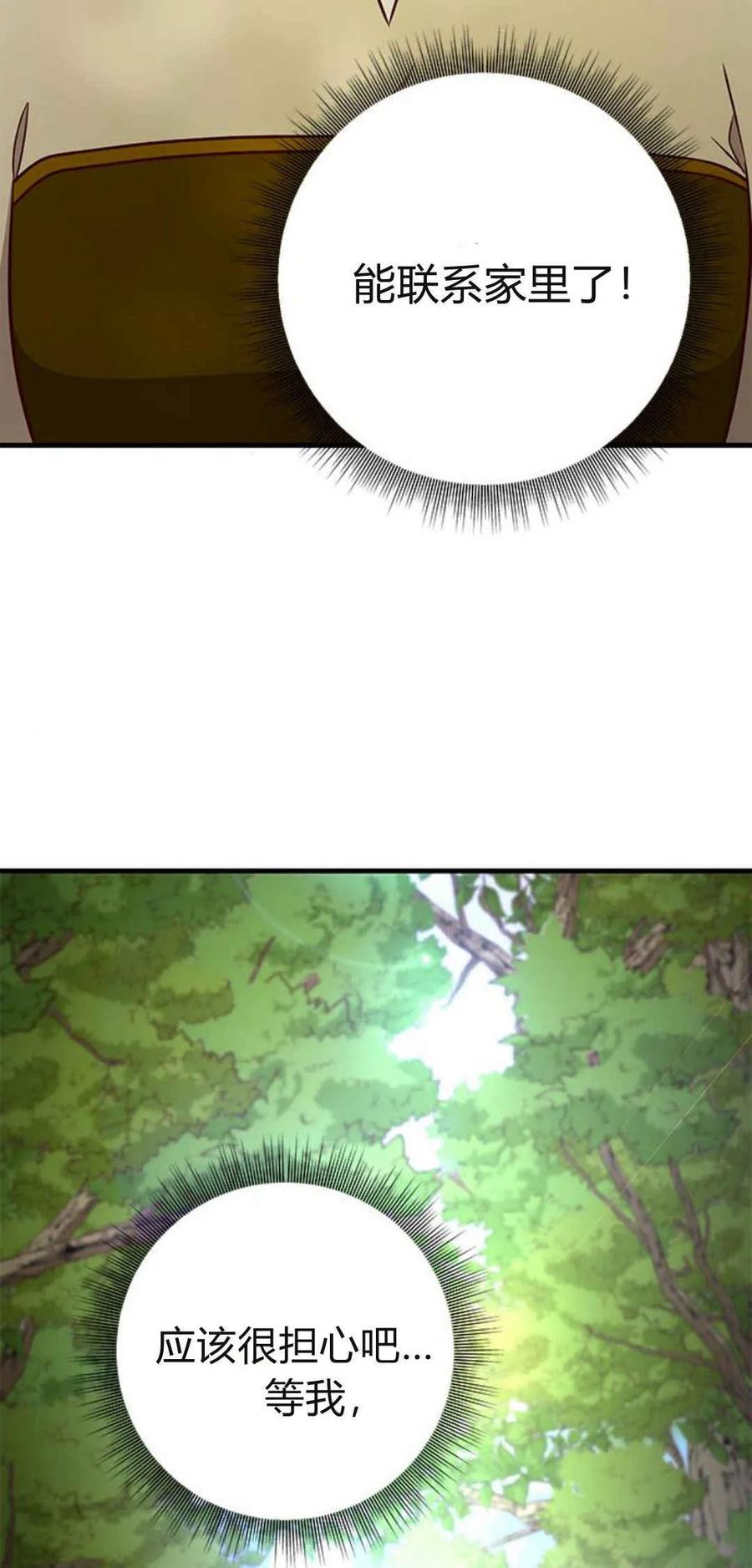 伯爵小姐的双重生活 第41话 第36页