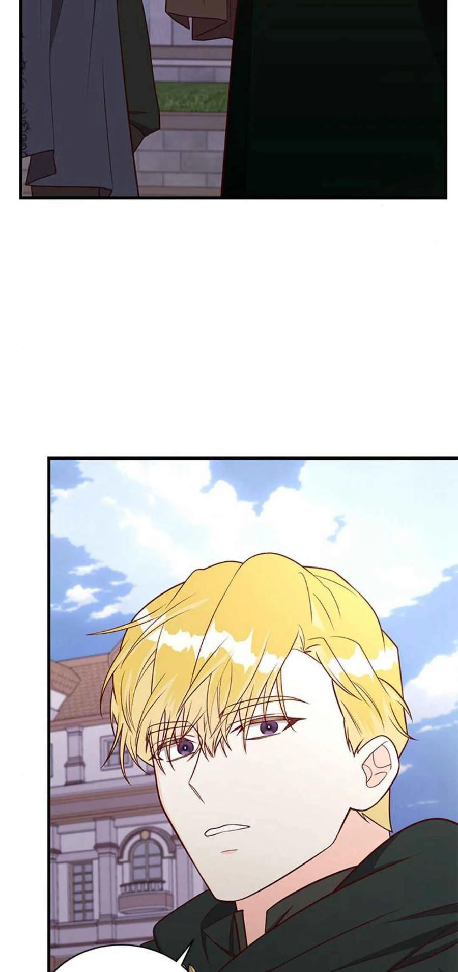 伯爵小姐的双重生活 第41话 第66页