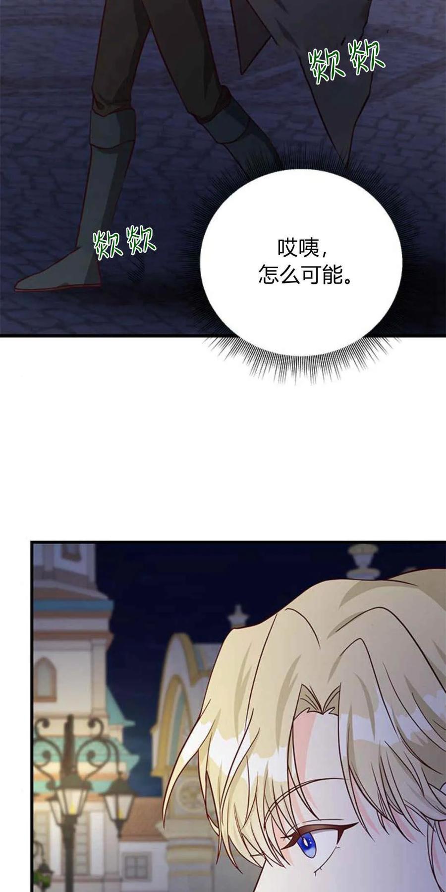 伯爵小姐的双重生活 第44话 第67页