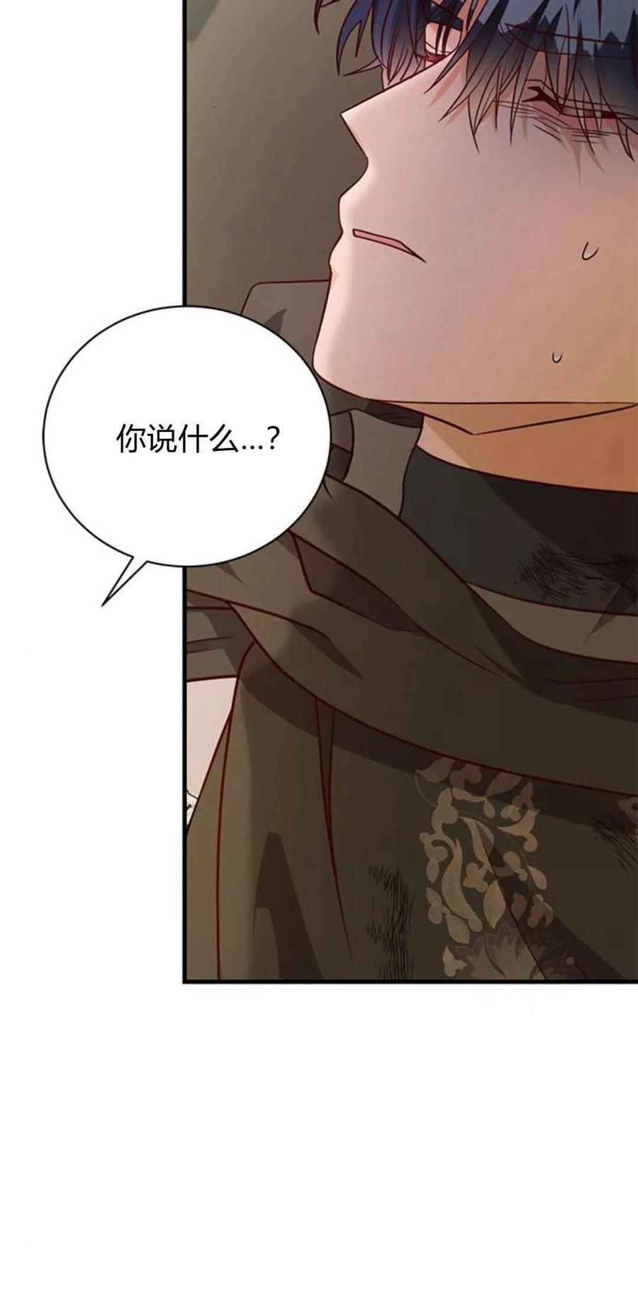 伯爵小姐的双重生活 第44话 第26页