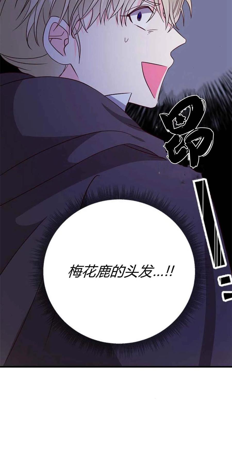 伯爵小姐的双重生活 第44话 第90页