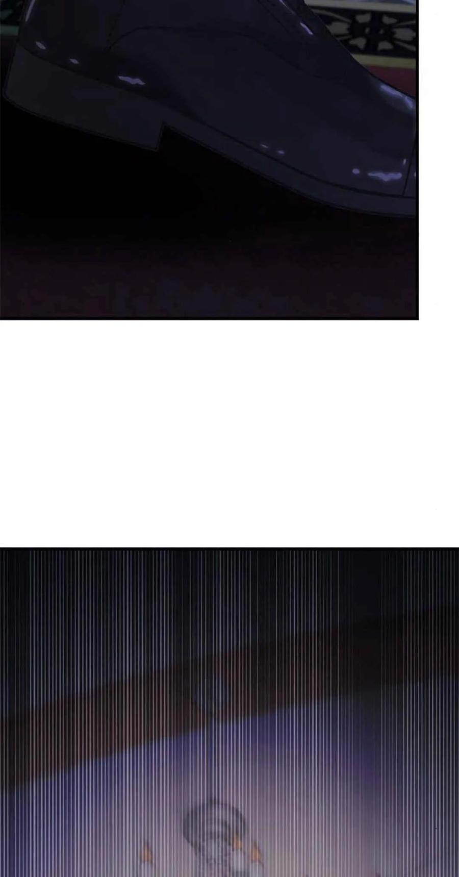 伯爵小姐的双重生活 第44话 第95页