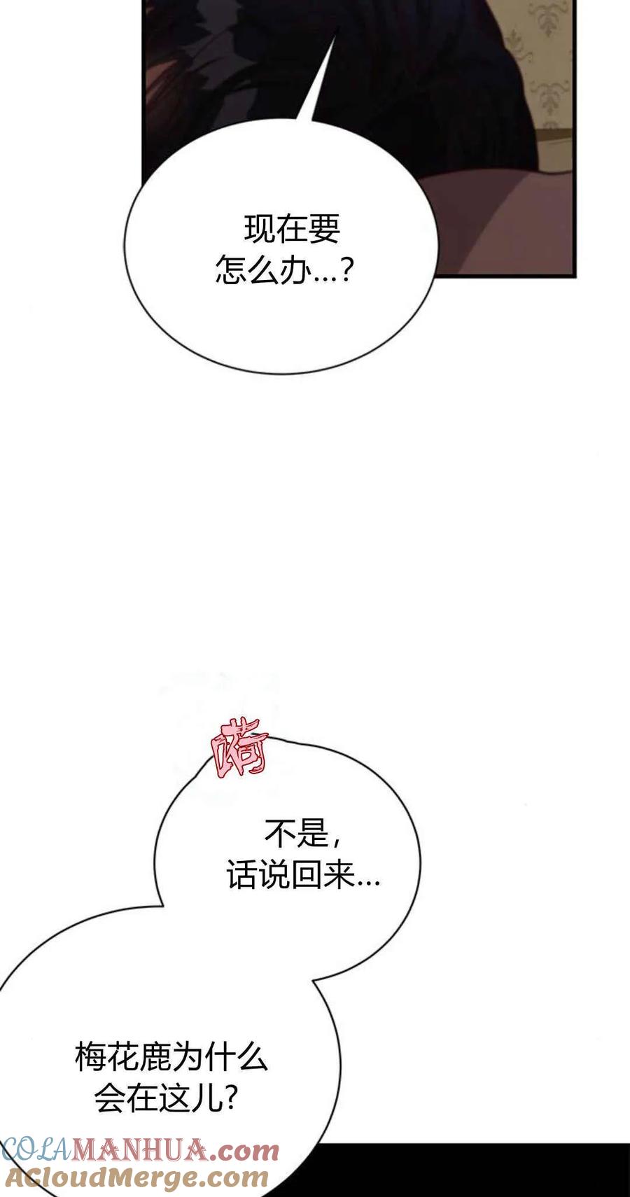 伯爵小姐的双重生活 第44话 第13页
