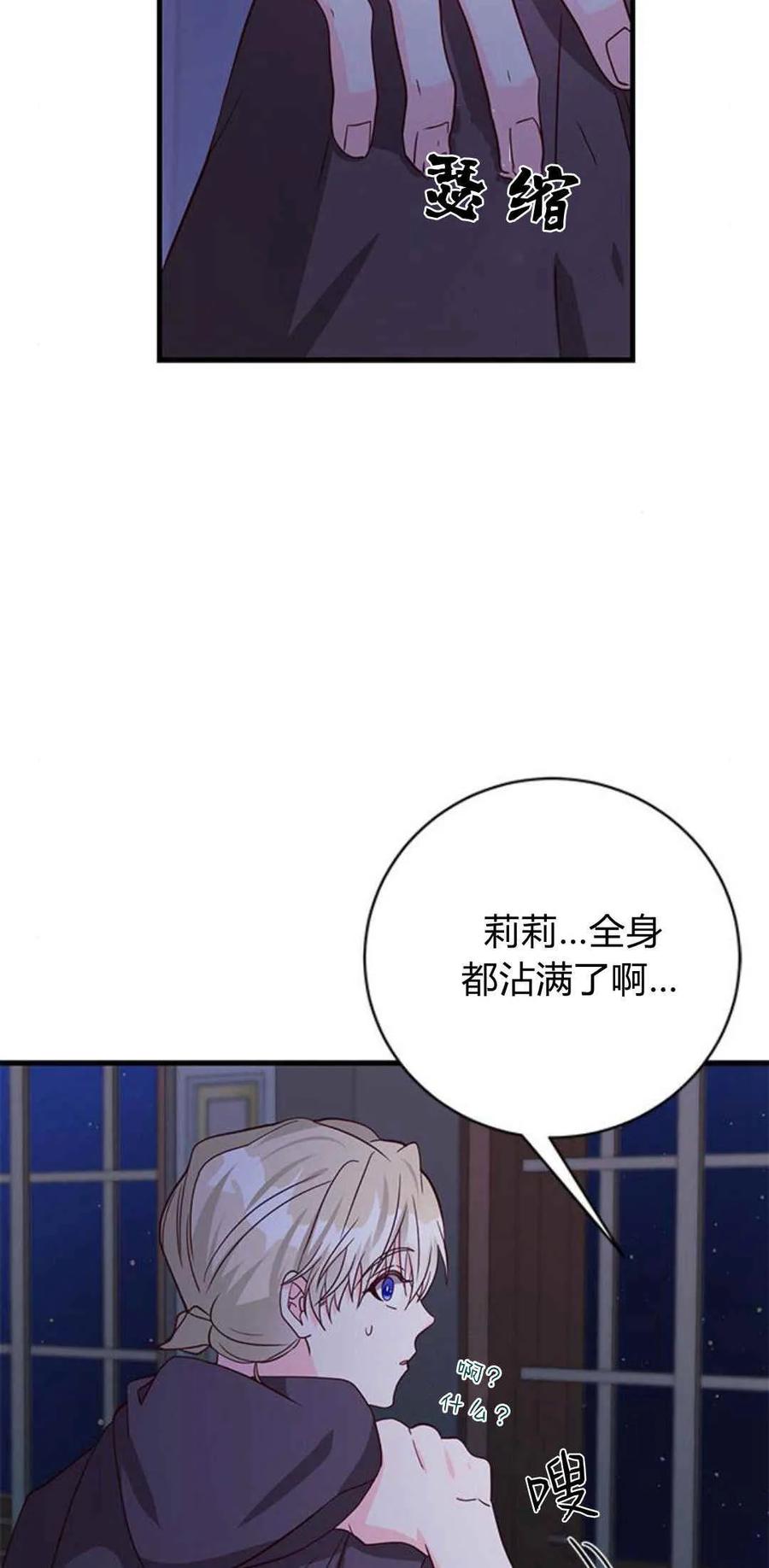 伯爵小姐的双重生活 第44话 第87页