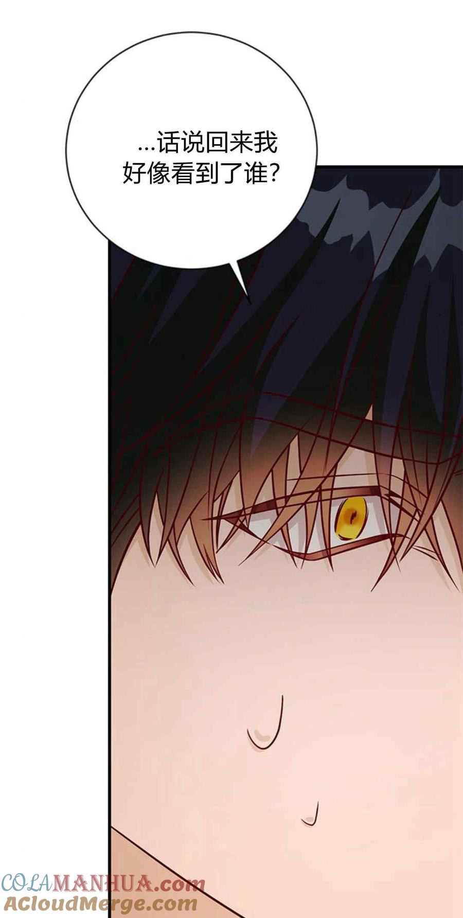 伯爵小姐的双重生活 第45话 第81页