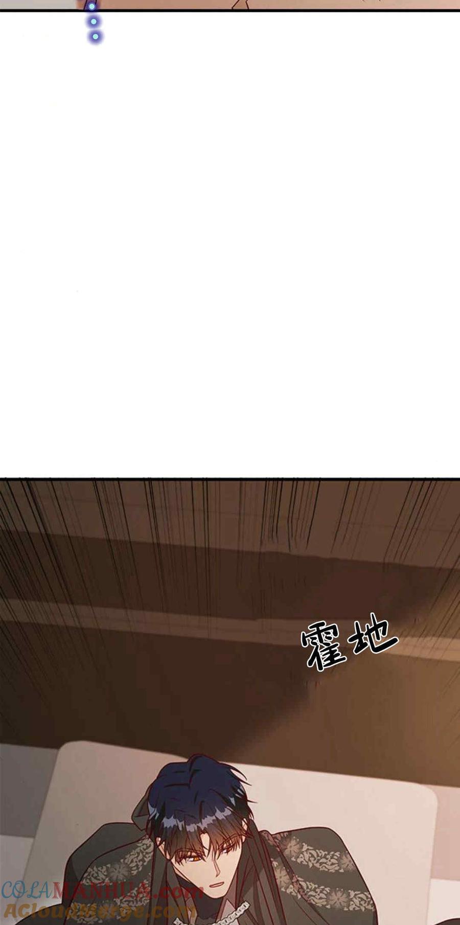 伯爵小姐的双重生活 第45话 第65页