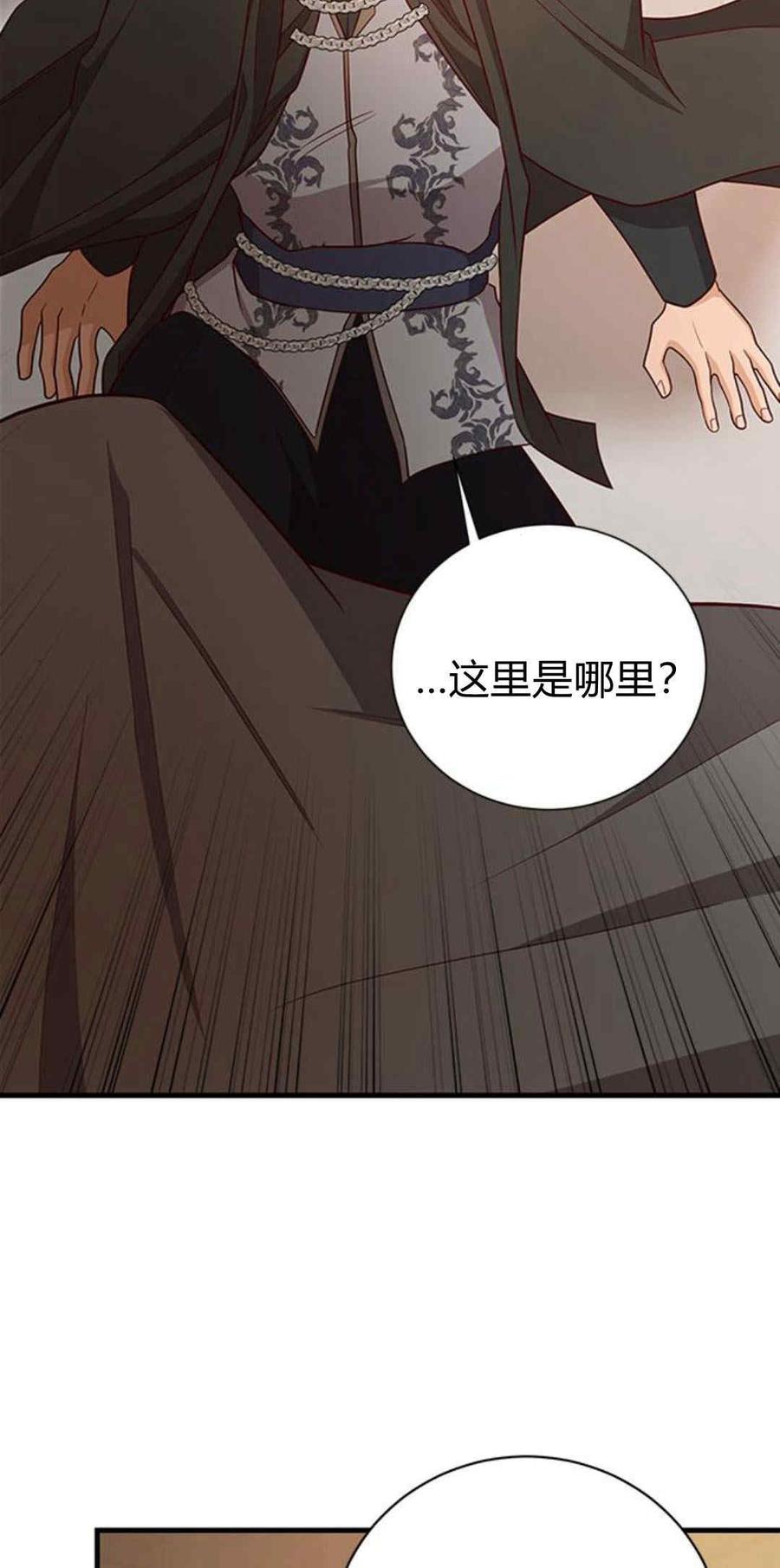 伯爵小姐的双重生活 第45话 第66页