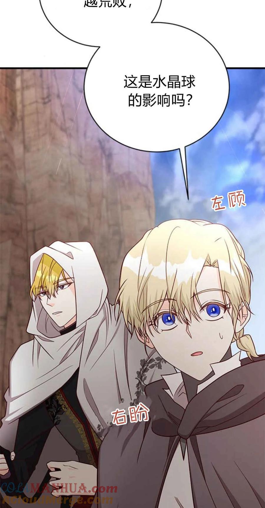 伯爵小姐的双重生活 第46话 第37页