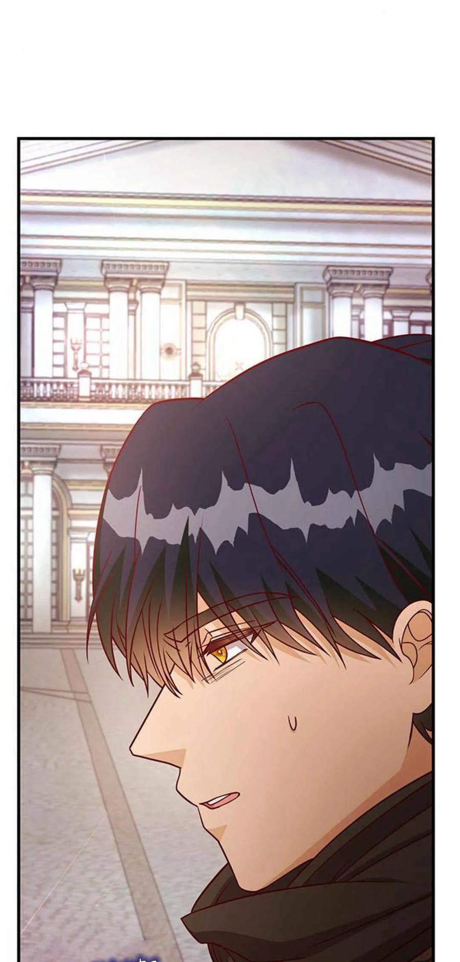 伯爵小姐的双重生活 第46话 第11页