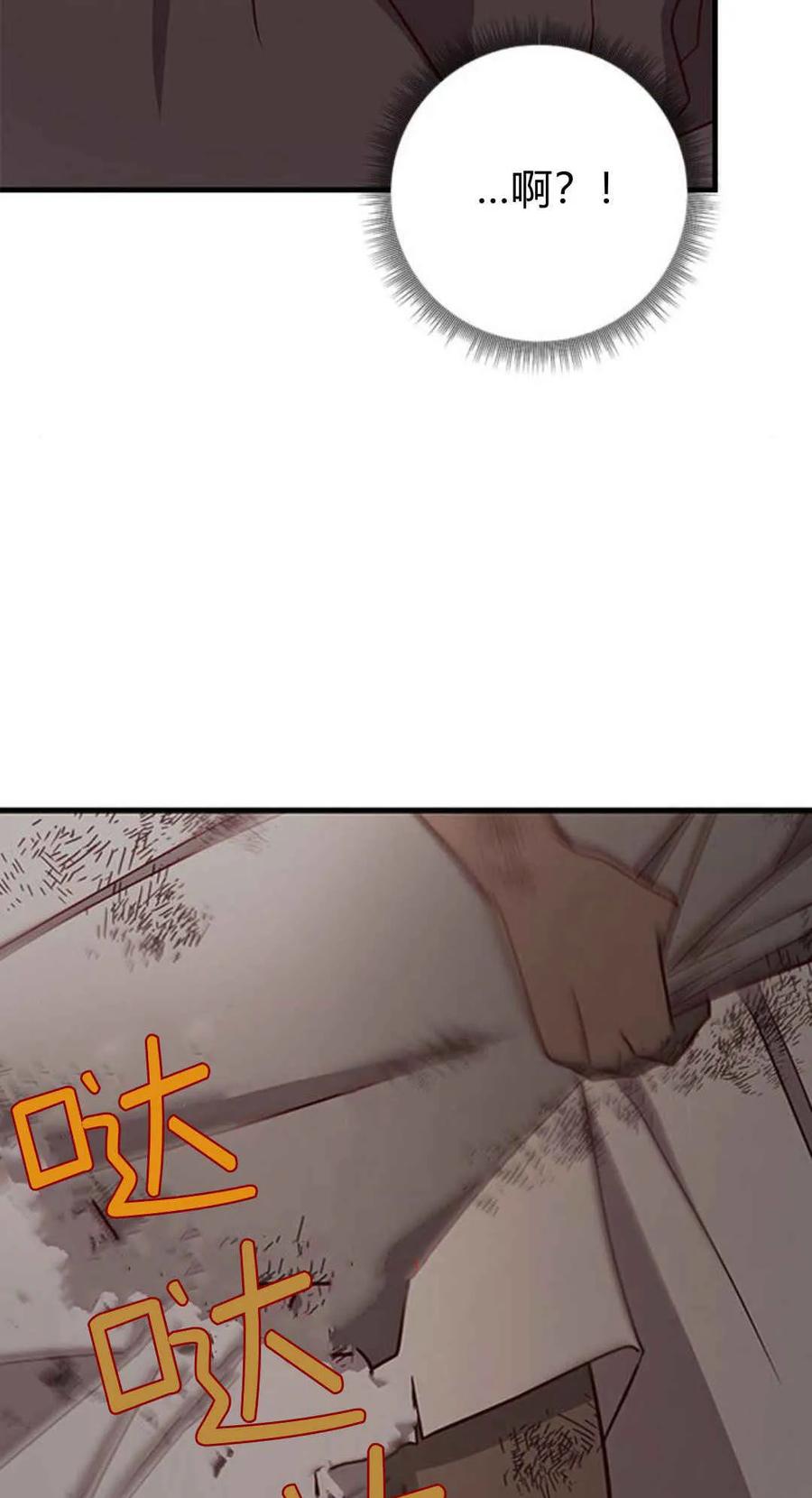 伯爵小姐的双重生活 第46话 第79页