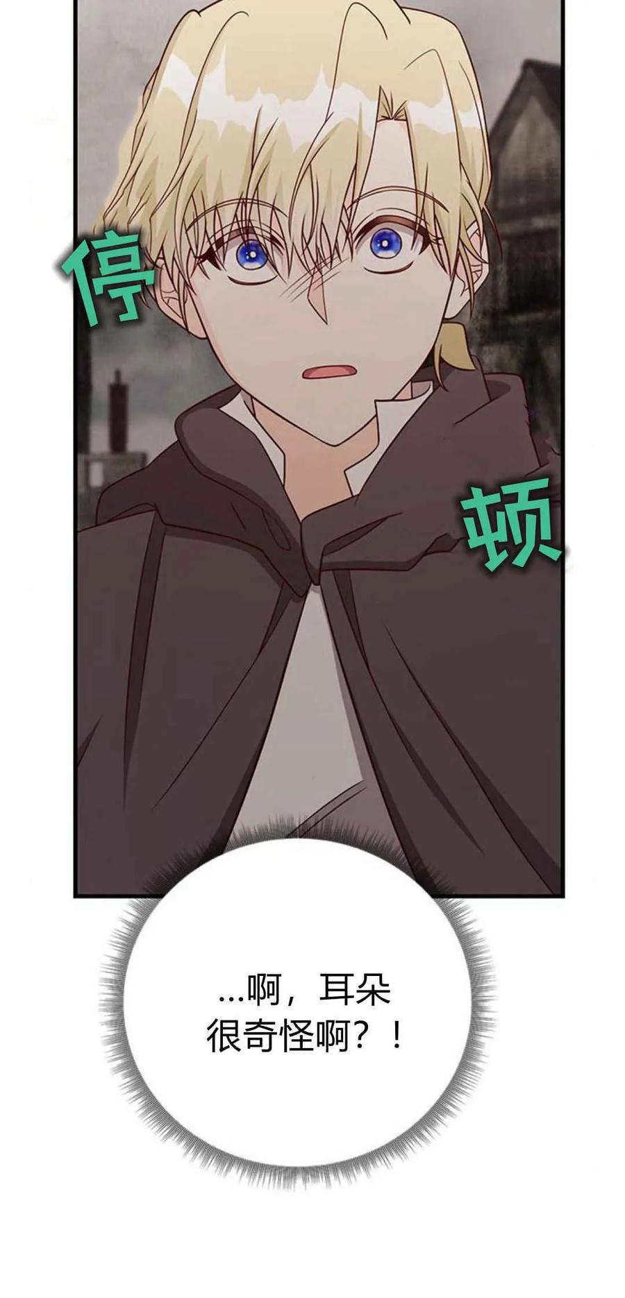 伯爵小姐的双重生活 第46话 第90页
