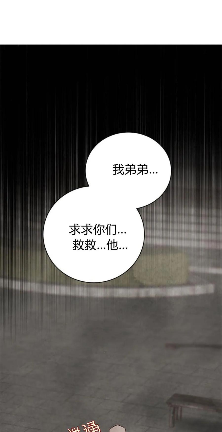 伯爵小姐的双重生活 第47话 第8页