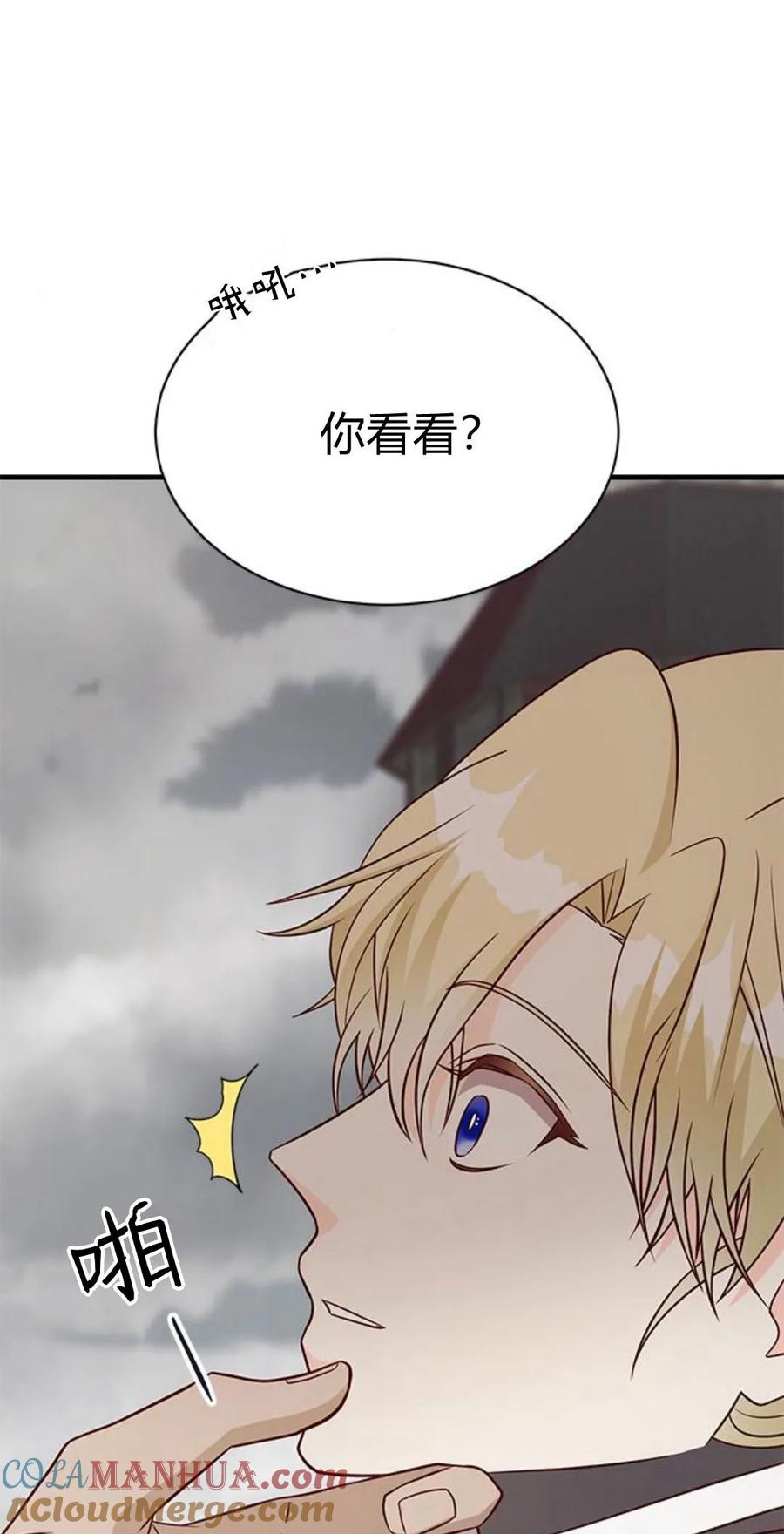 伯爵小姐的双重生活 第47话 第17页