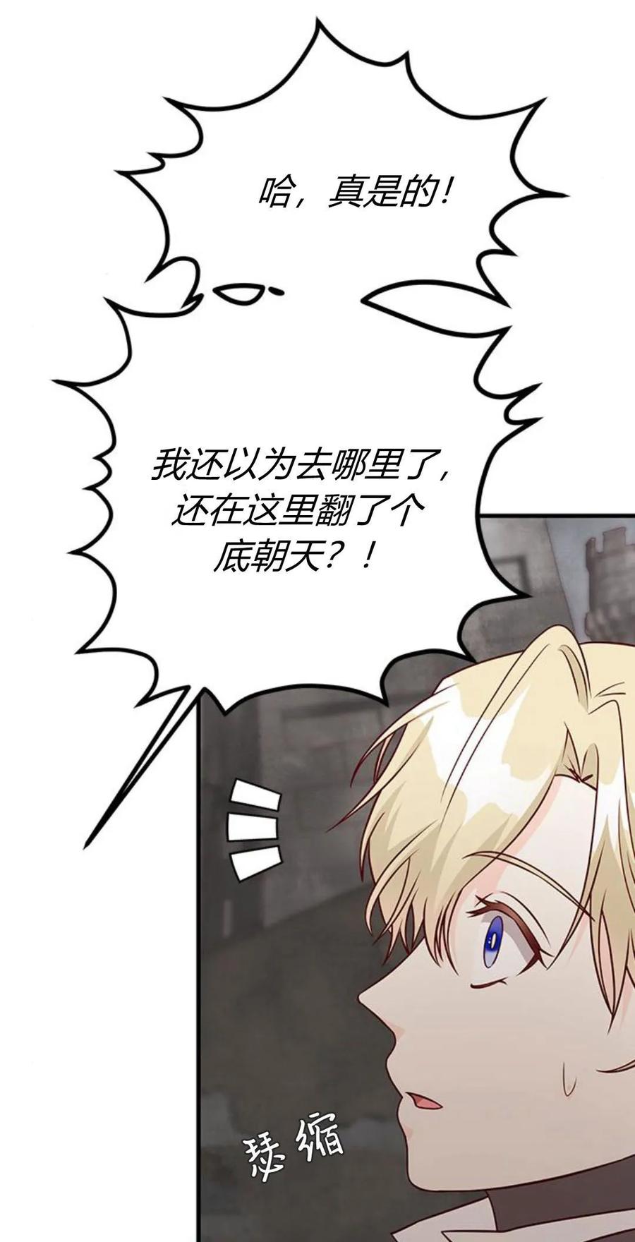 伯爵小姐的双重生活 第47话 第11页