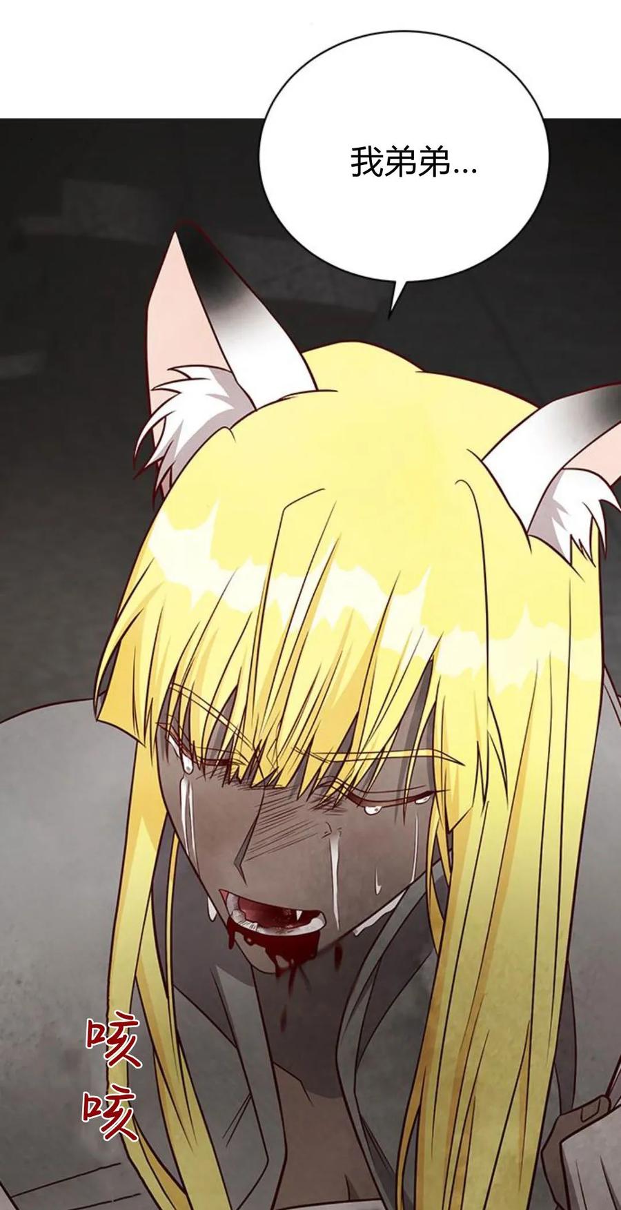 伯爵小姐的双重生活 第47话 第3页