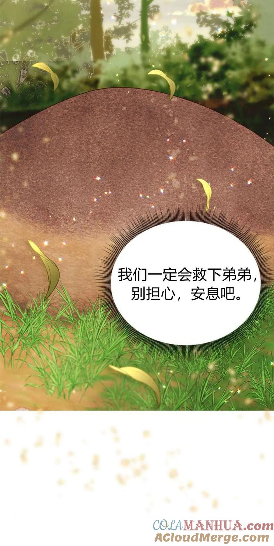 伯爵小姐的双重生活 第47话 第65页
