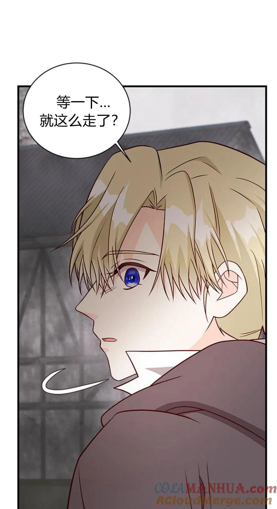 伯爵小姐的双重生活 第47话 第33页