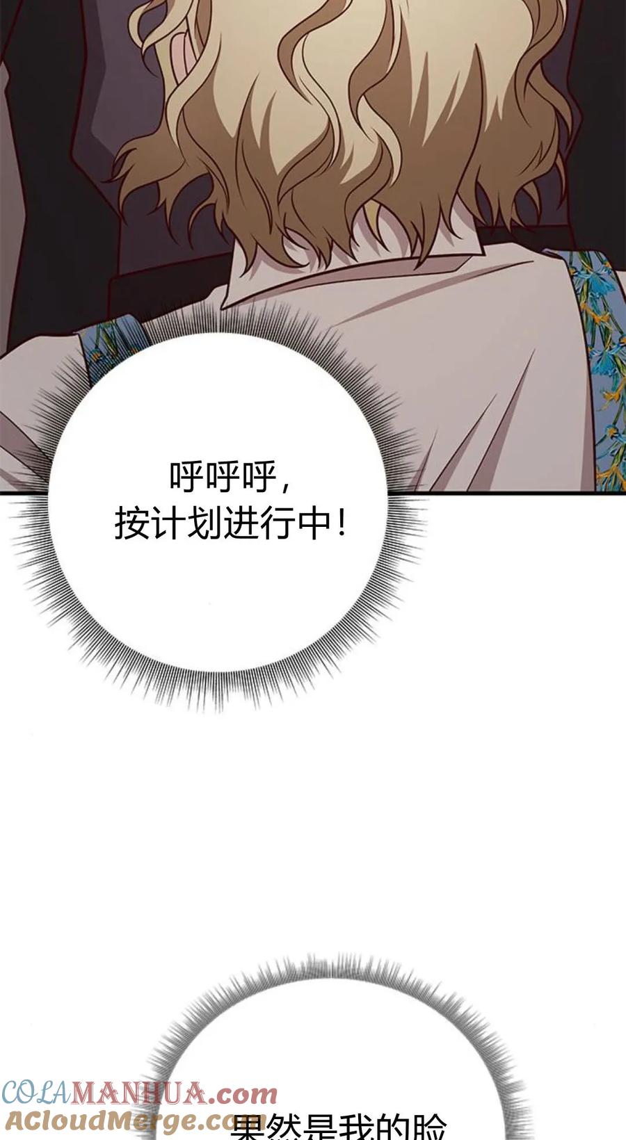 伯爵小姐的双重生活 第47话 第117页