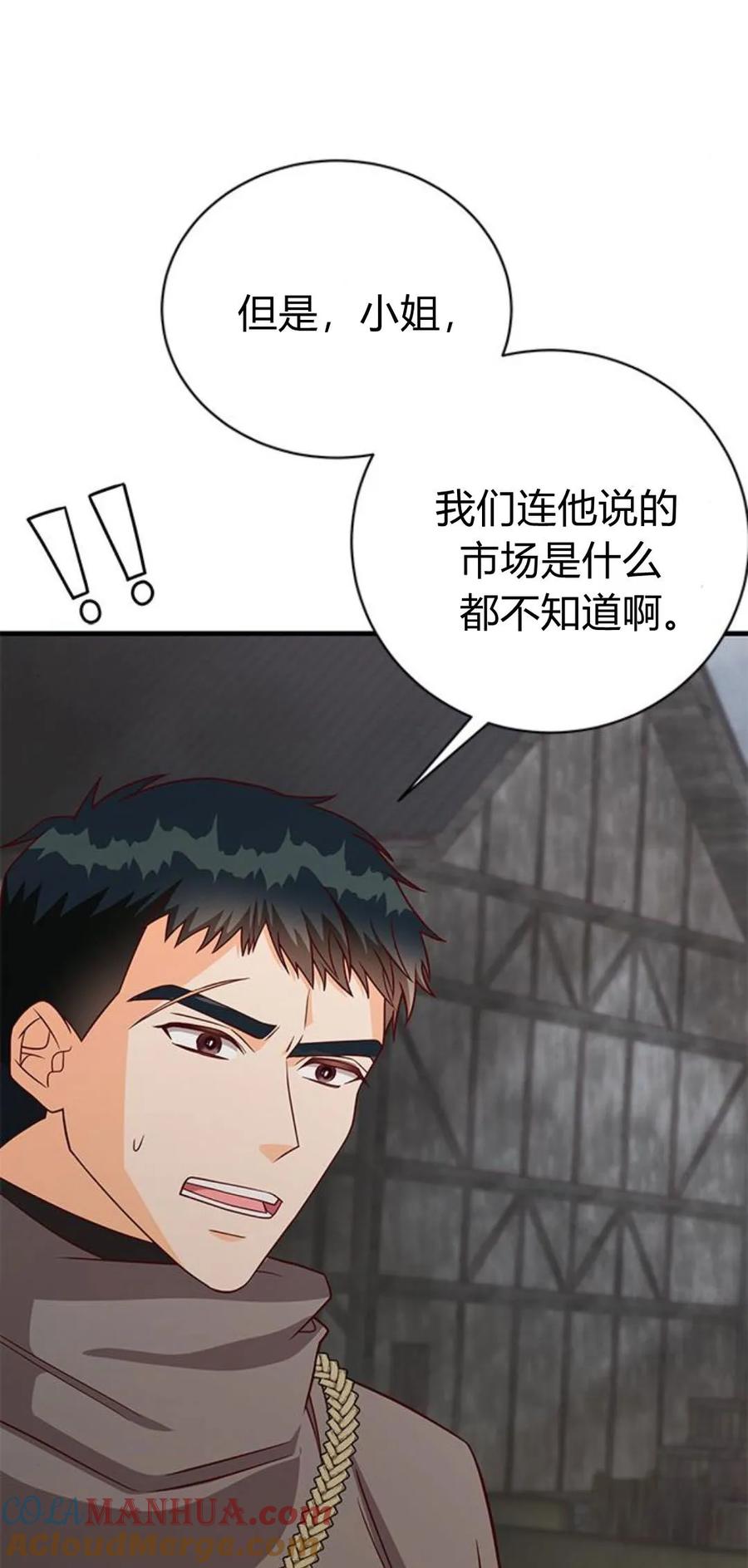 伯爵小姐的双重生活 第47话 第41页