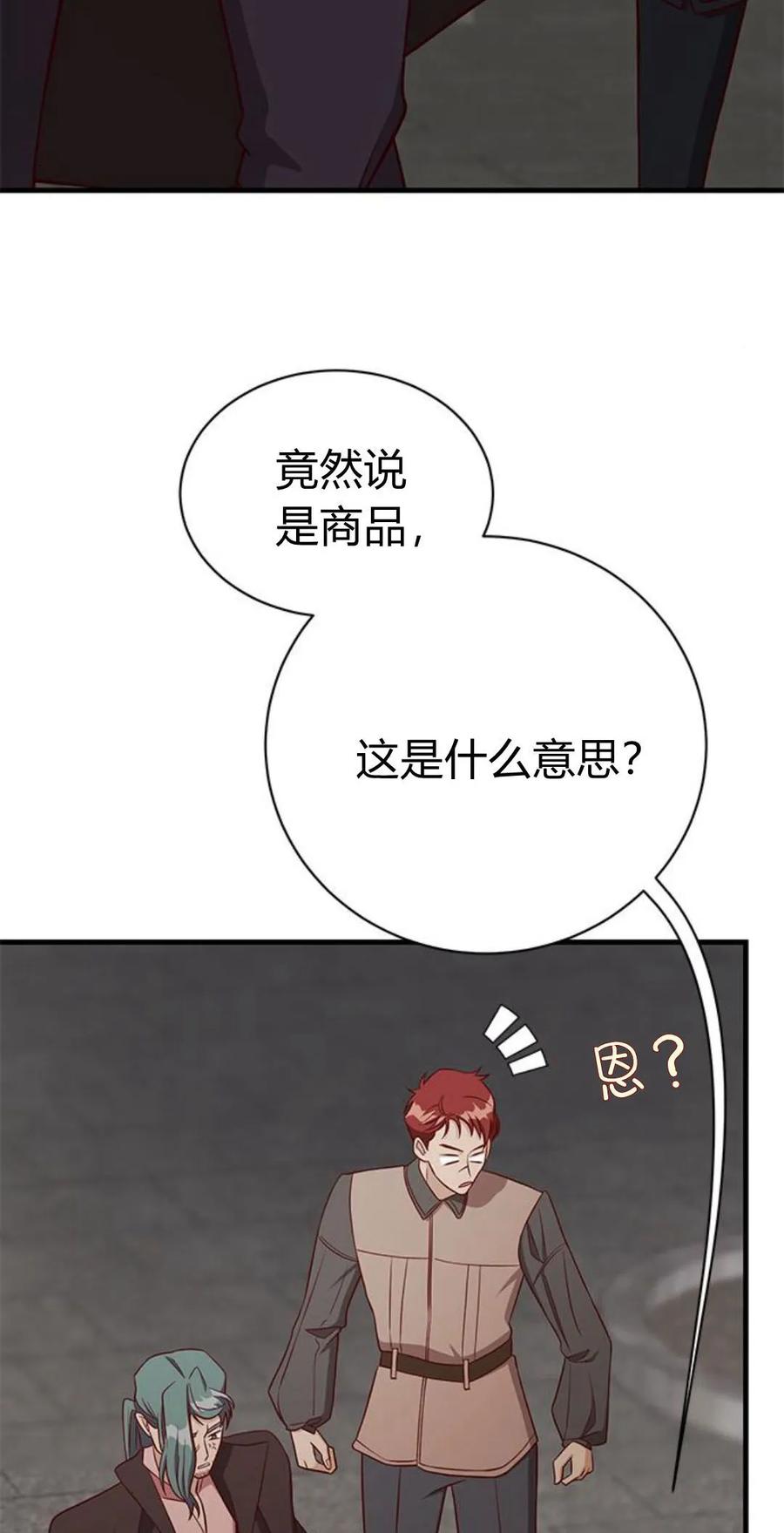 伯爵小姐的双重生活 第47话 第14页