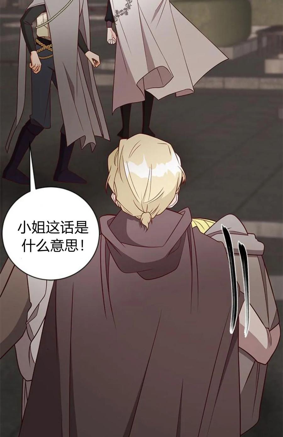 伯爵小姐的双重生活 第47话 第52页